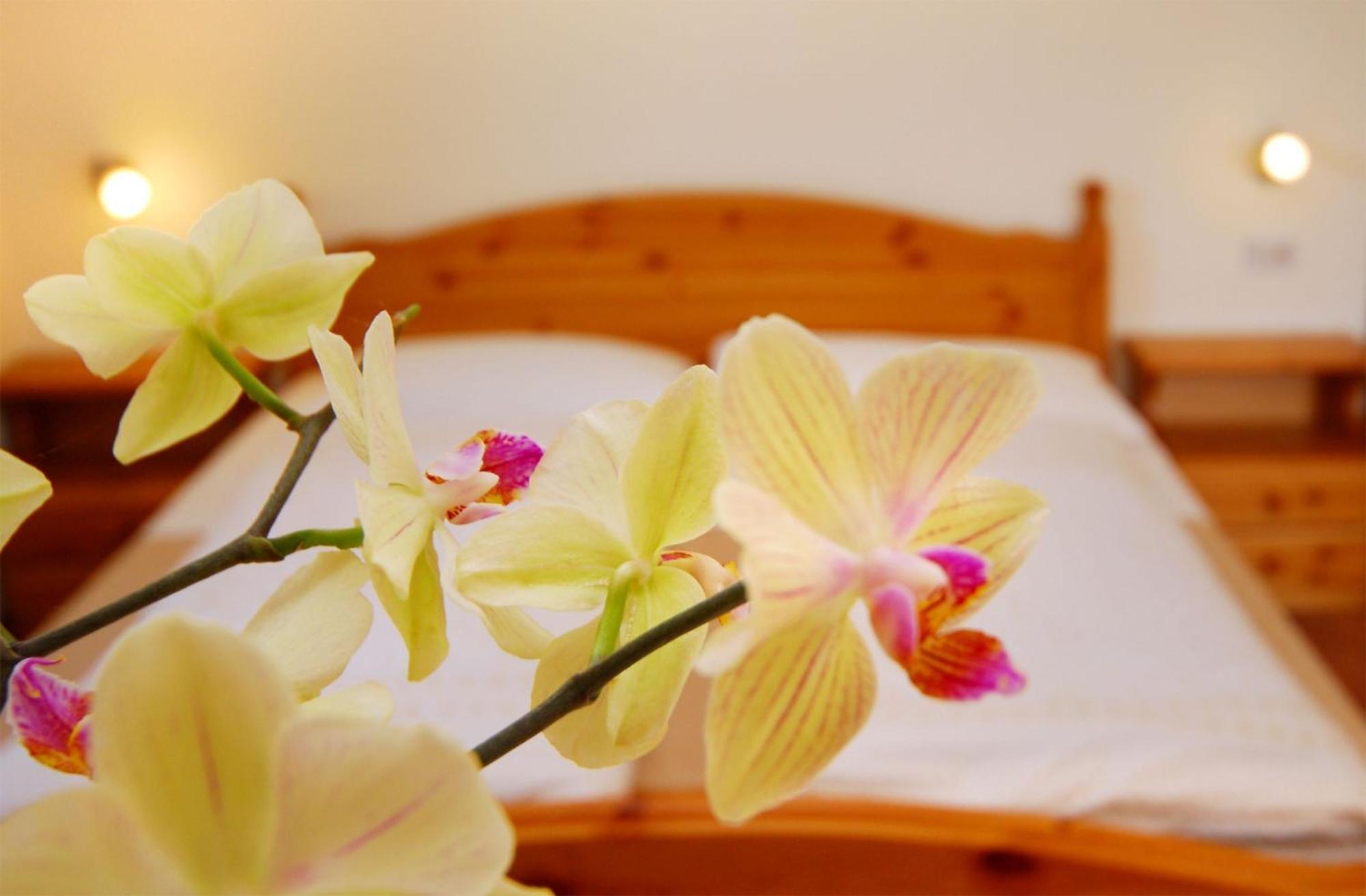 Garni Karlegger Bed & Breakfast Siusi Phòng bức ảnh