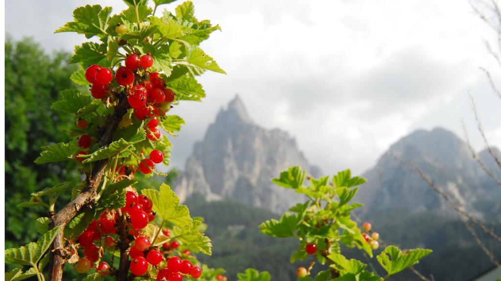 Garni Karlegger Bed & Breakfast Siusi Ngoại thất bức ảnh